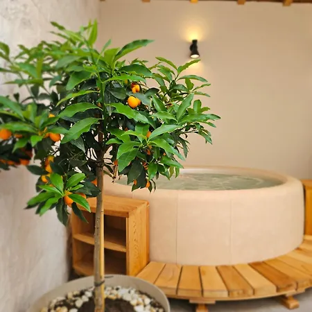 Villa Stone House Anic